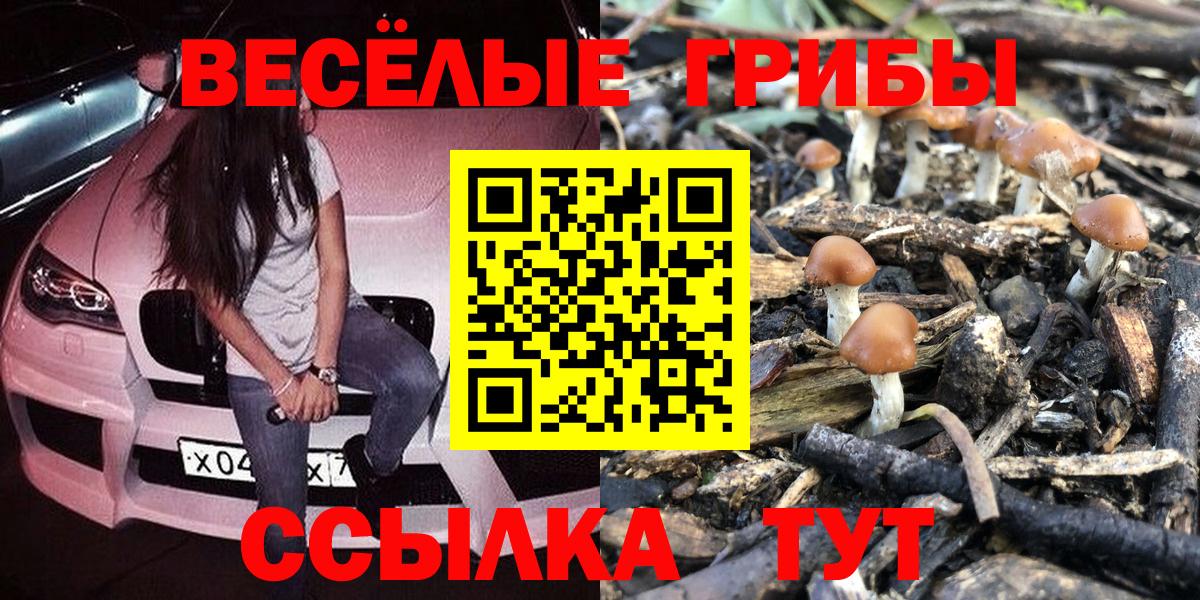 Галлюциногенные грибы прущие грибы  Галлюциногенные грибы Magic Shrooms  Кашира  Вход с VPN 